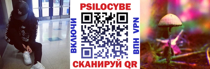 где купить наркоту Суджа Галлюциногенные грибы мухоморы